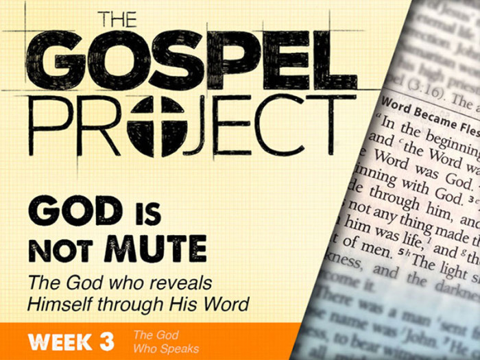 Gospel Project Week 3