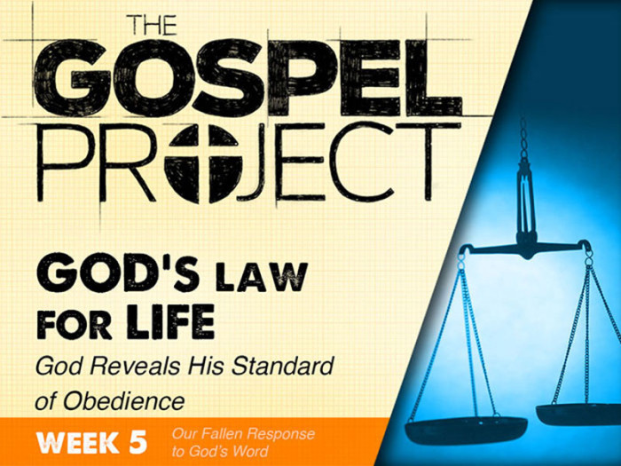 Gospel Project Week 5