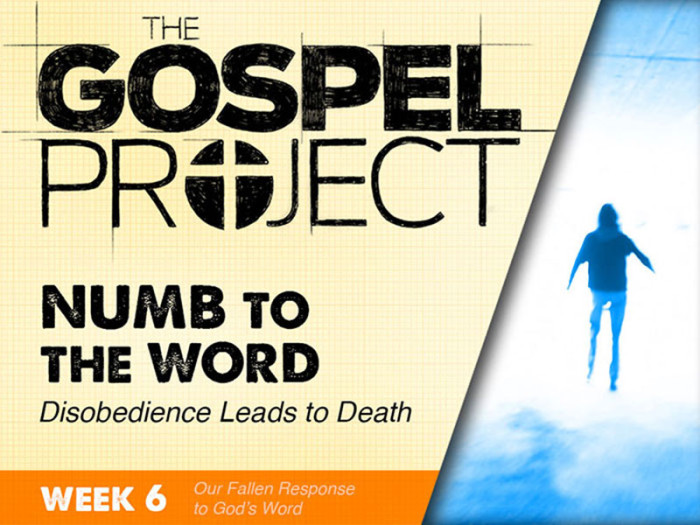 Gospel Project Week 6